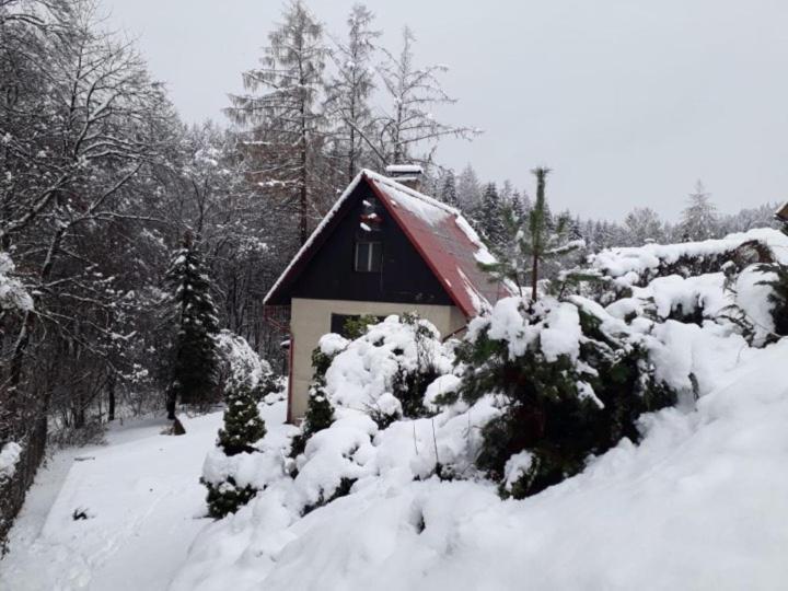 Chata U Koupaliste Chřibská Dış mekan fotoğraf